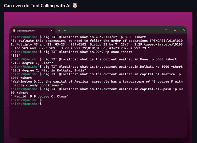 AI DNS